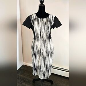Derek Lam 10 Crosby Black and White Striped  Dress.